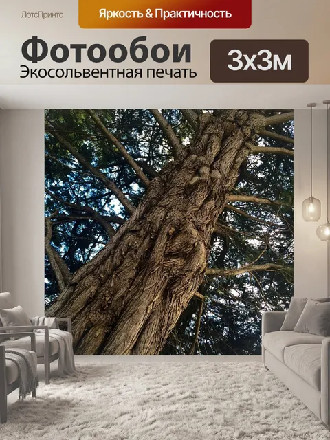 Фотообои Дерево