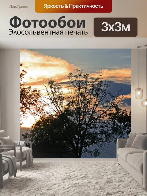 Фотообои закат за деревьями
