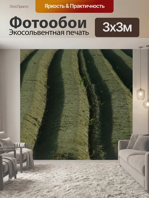 Фотообои Спаржа