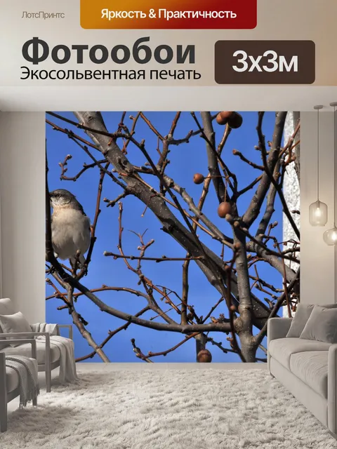 Фотообои Птица в голое дерево