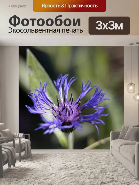 Фотообои Цветы