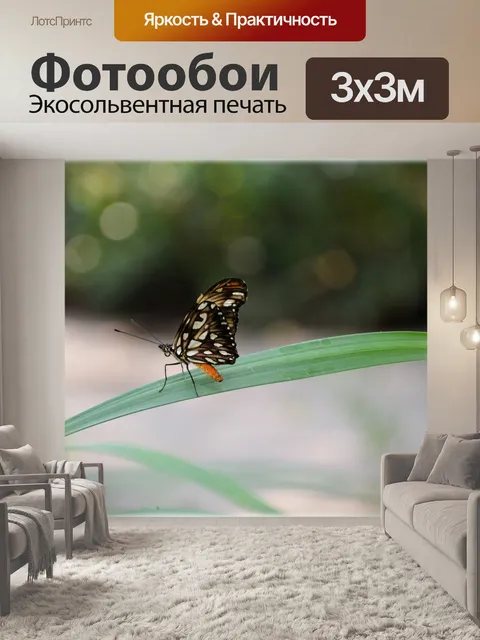 Фотообои Бабочки 07