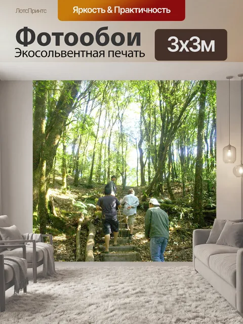 Фотообои Природа тропический лес дои Интанон наци