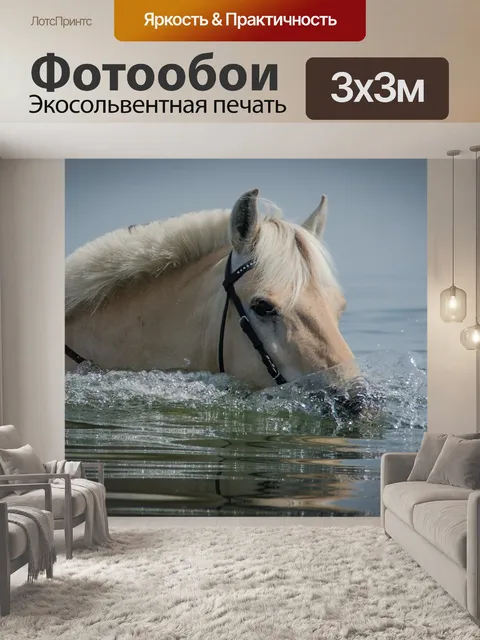 Фотообои Лошадь