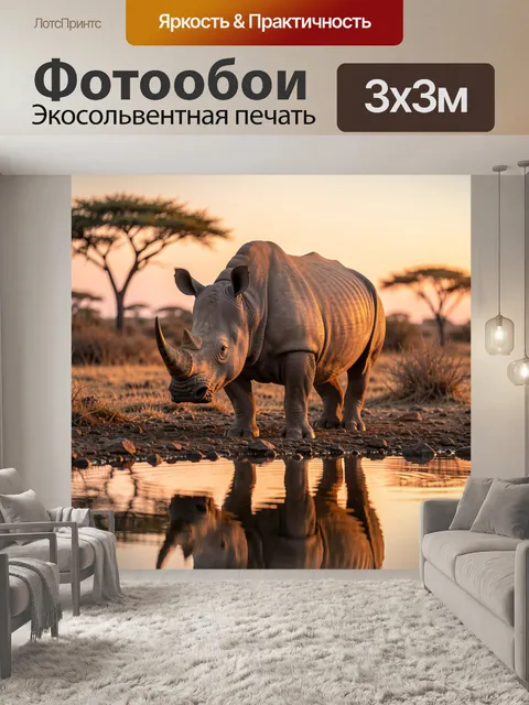 Фотообои Носорог у водопоя на закате