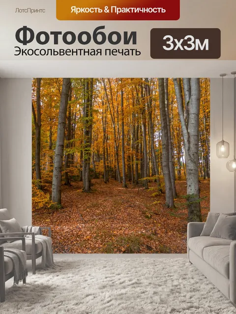 Фотообои Осенний лес