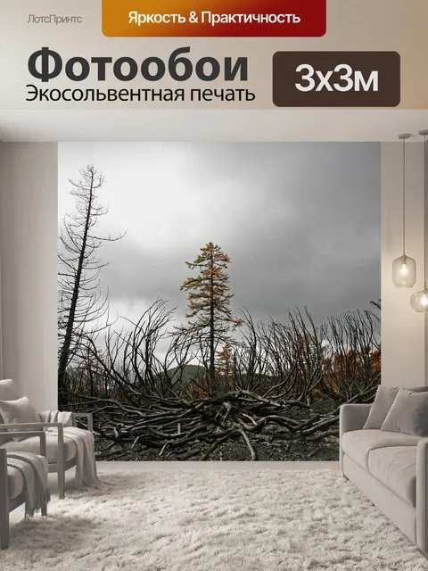 Фотообои Пожар