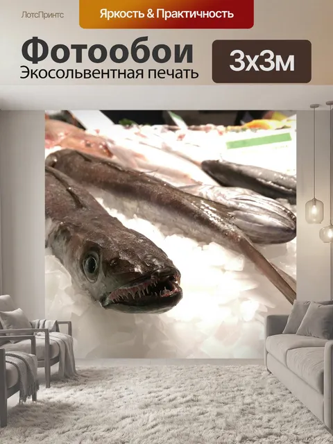 Фотообои Рыбы