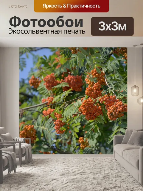 Фотообои Дерево