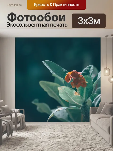 Фотообои Цветок