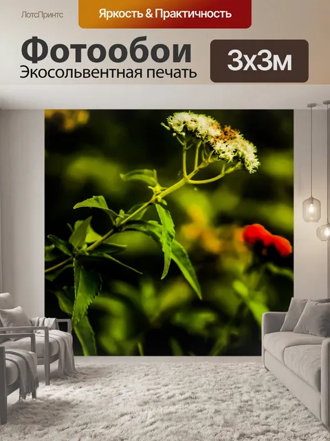 Фотообои Цветы