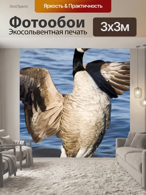 Фотообои Животное
