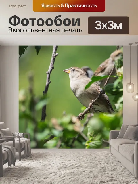 Фотообои Воробей