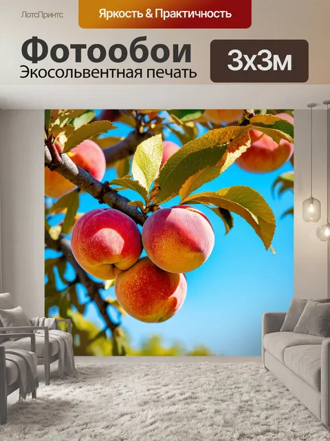 Фотообои персиковое дерево, полное спелых фруктов под ярким солнечным светом