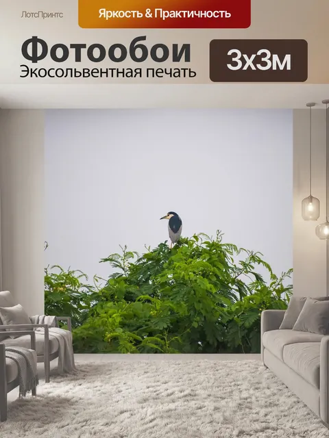Фотообои Цапля