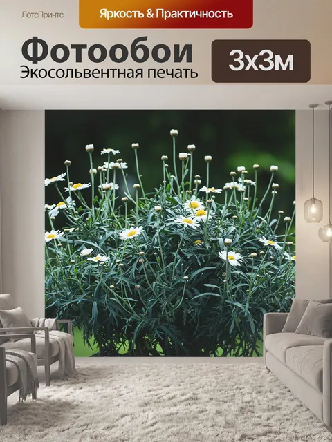 Фотообои Цветы