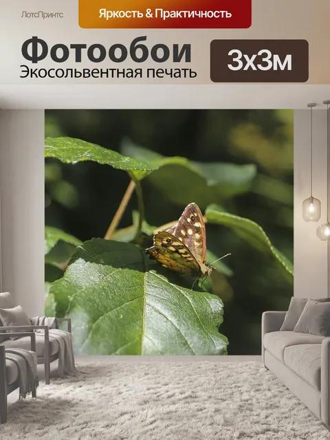 Фотообои Бабочка