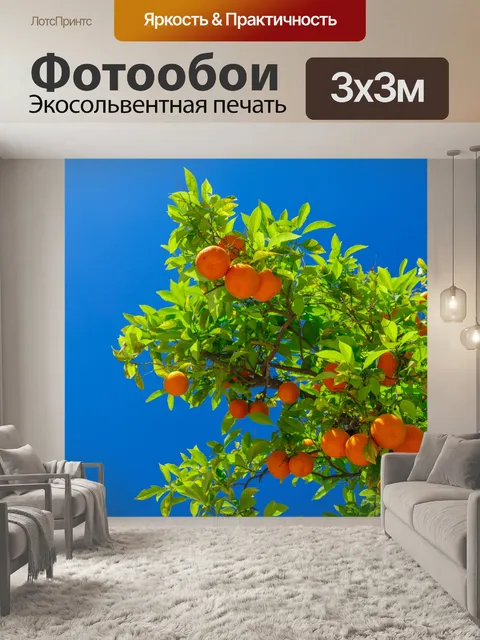 Фотообои Выращивание апельсинов