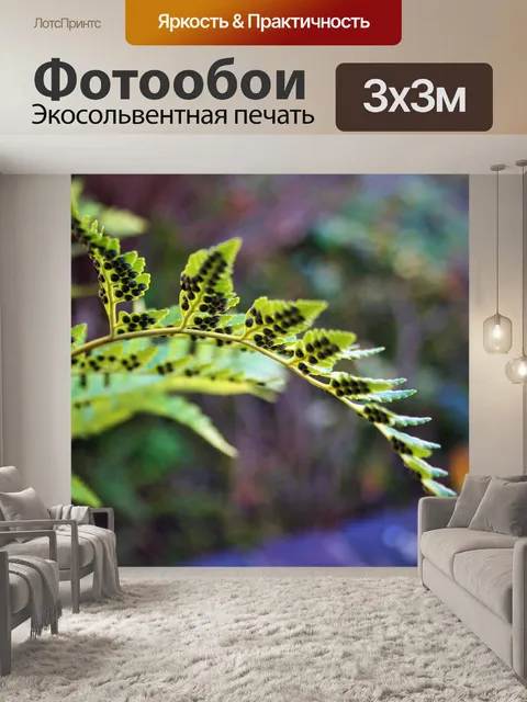 Фотообои листья папоротника со спорами
