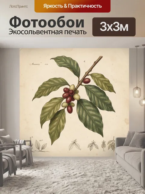 Фотообои Ветвь кофейного дерева с ягодами