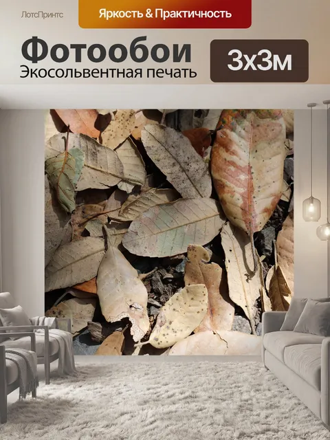Фотообои Листья