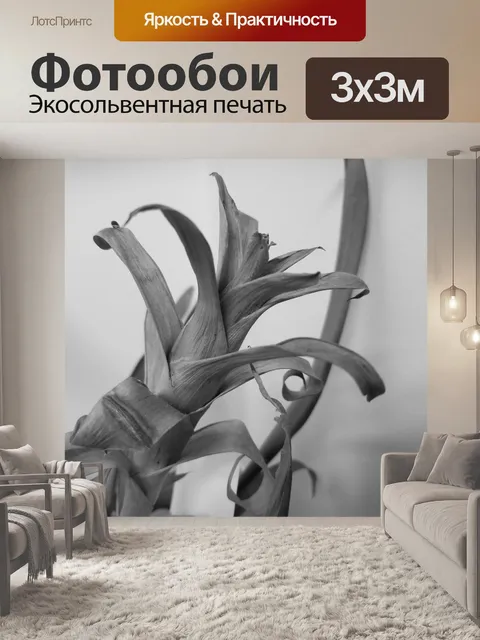 Фотообои Высокая лилия в черно-белом