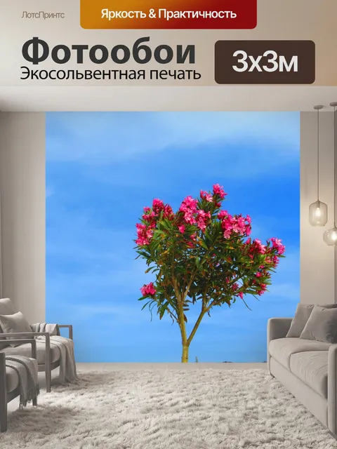 Фотообои Олеандр