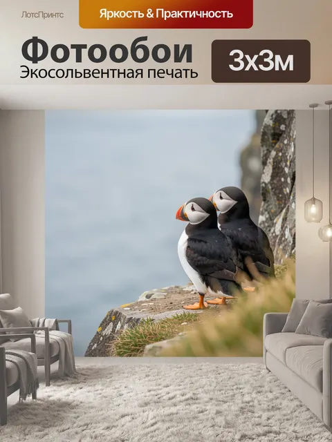 Фотообои Два тупика на скале
