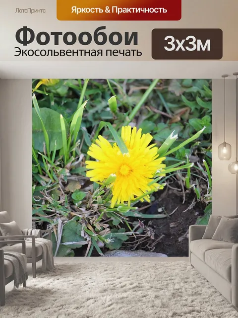 Фотообои Цветы