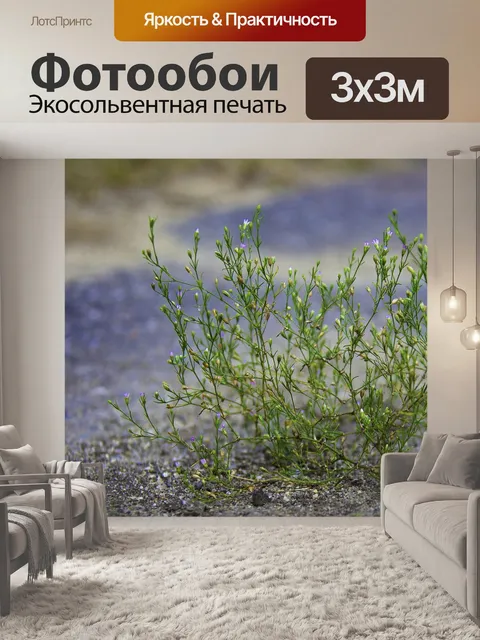 Фотообои Цветы