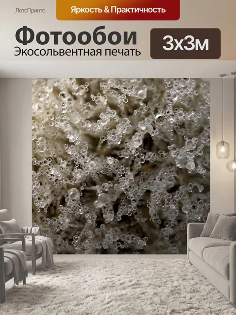 Фотообои Одуванчик