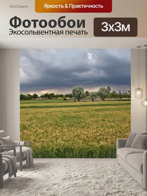 Фотообои Буря