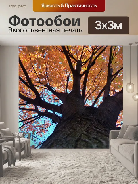 Фотообои Осень на Skyview