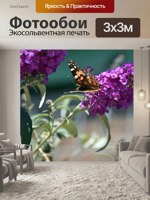 Фотообои бабочка на лаванде