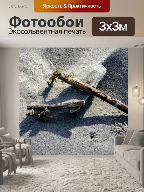 Фотообои Пляжный лес