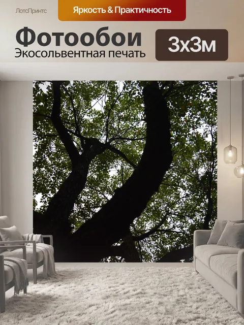 Фотообои Оттенок