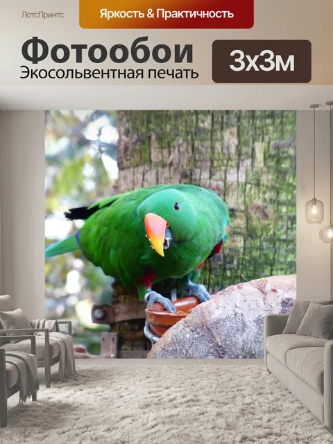 Фотообои Благородный зелёно красный попугай