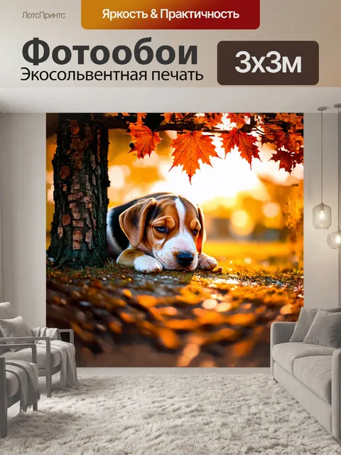 Фотообои щенок бигля, положивший голову на лапы, засыпающий под кленом, охваченный мягким светом заката