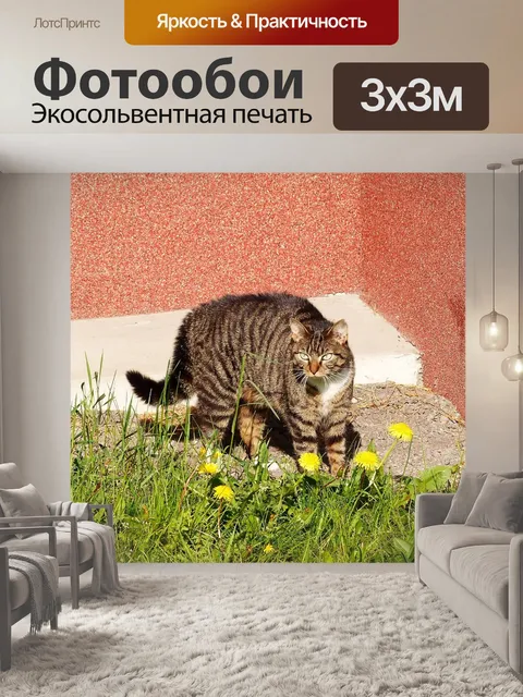 Фотообои Природа