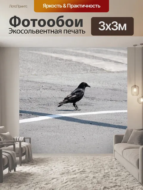 Фотообои Ворона на улице