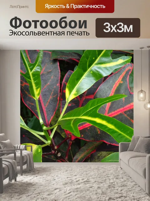 Фотообои Листья