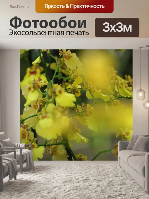 Фотообои Орхидея
