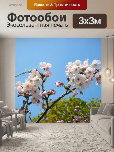 Фотообои Вишневое дерево