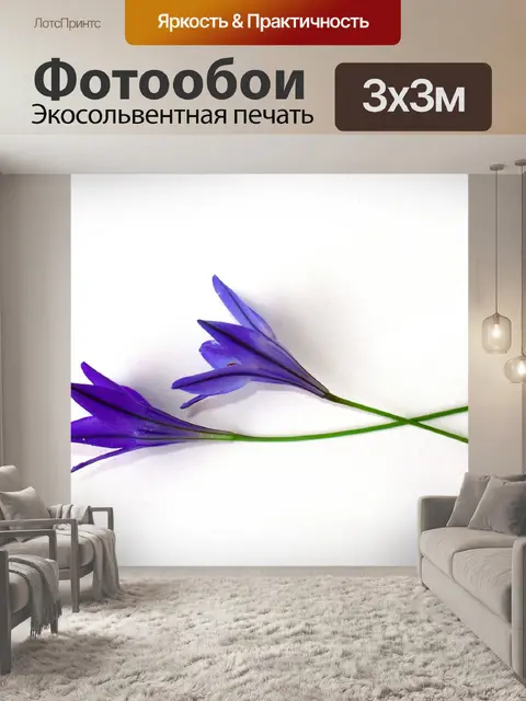 Фотообои Цветы