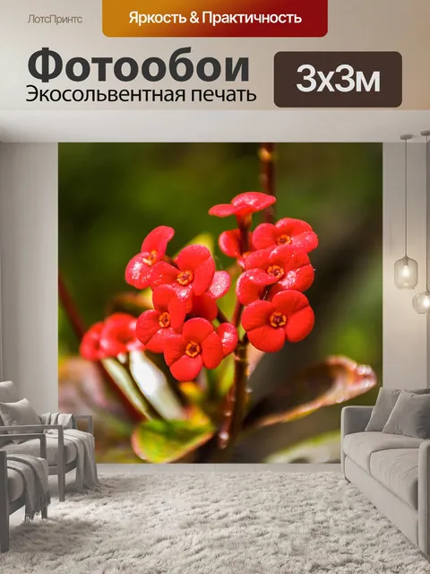 Фотообои Цветы