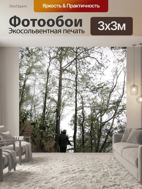 Фотообои Лес