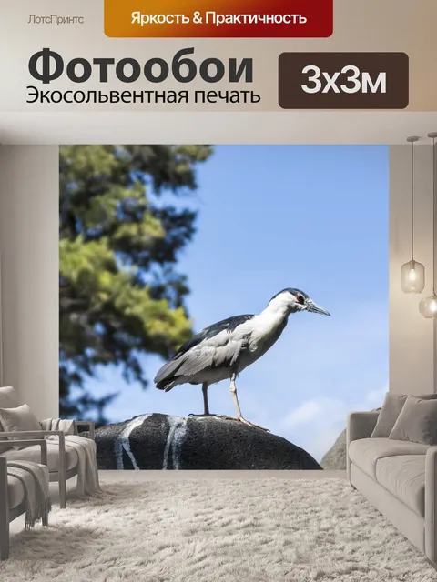 Фотообои Динозавр