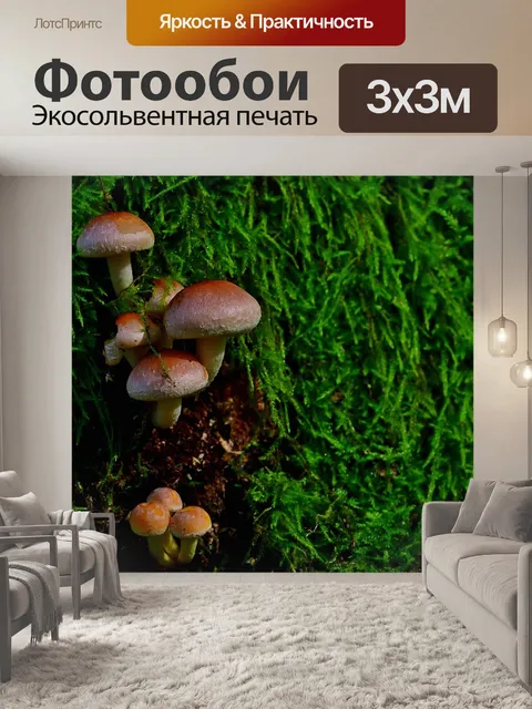 Фотообои Природа