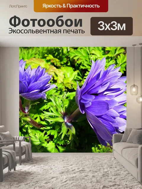 Фотообои Анемоны