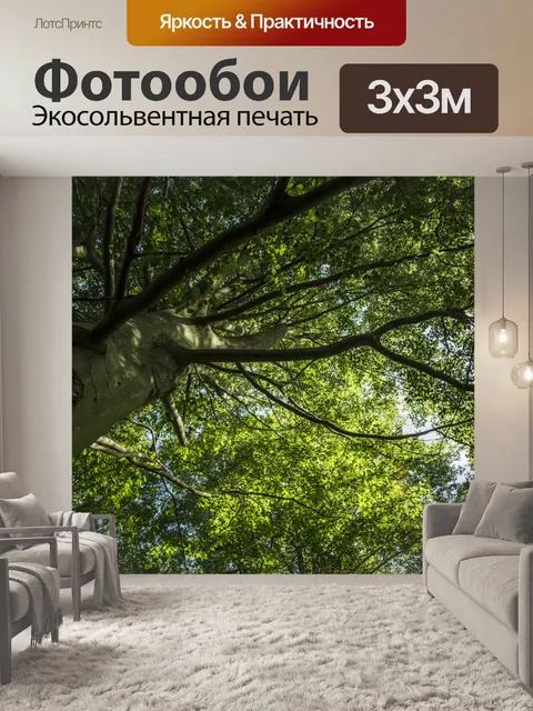 Фотообои лес